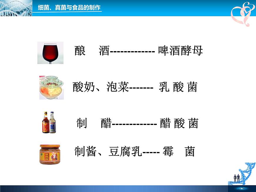 初中生物魯科版七年級(jí)下冊(cè) 人類對(duì)細(xì)菌和真菌的利用部?jī)?yōu)課件第8頁