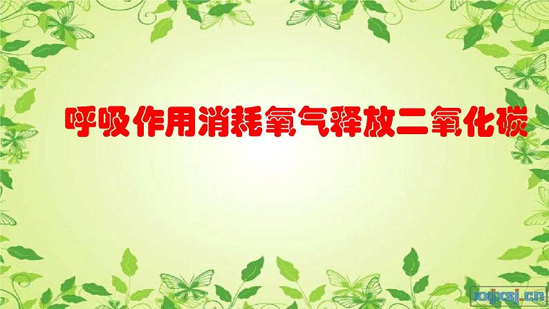 初中生物鲁科版六年级下册 呼吸作用消耗氧气释放二氧化碳部优课件02