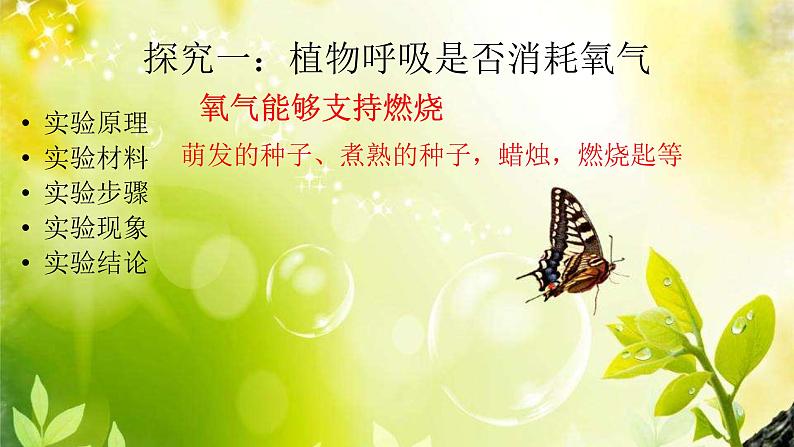初中生物鲁科版六年级下册 呼吸作用消耗氧气释放二氧化碳部优课件05