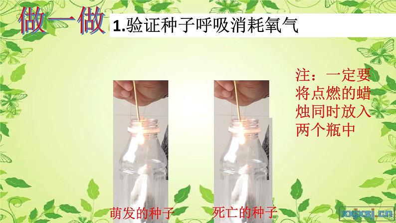 初中生物鲁科版六年级下册 呼吸作用消耗氧气释放二氧化碳部优课件06