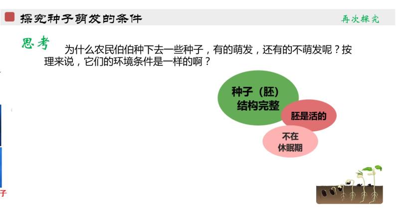 初中生物济南版八年级上册 种子的萌发部优课件05