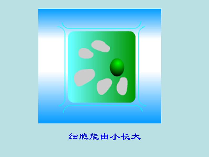 初中生物鲁科版六年级上册 细胞的生活部优课件第2页