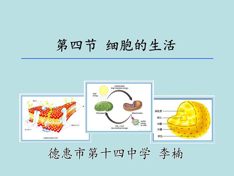 初中生物鲁科版六年级上册 细胞的生活部优课件第6页