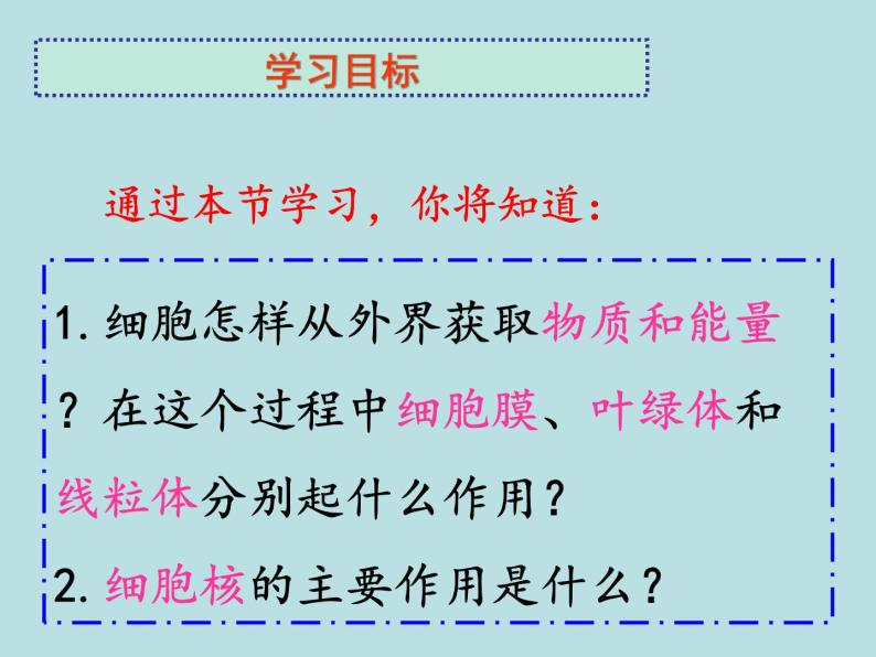 初中生物鲁科版六年级上册 细胞的生活部优课件07