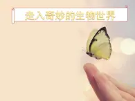 初中生物鲁科版八年级下册 基因控制生物的性状部优课件