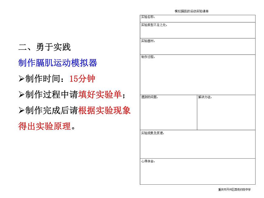 初中生物魯科版七年級(jí)上冊(cè) 發(fā)生在肺內(nèi)的氣體交換模擬膈肌的運(yùn)動(dòng)部優(yōu)課件第3頁
