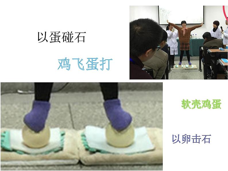 初中生物苏科版八年级上册 动物的生殖——鸟卵再探究部优课件第2页