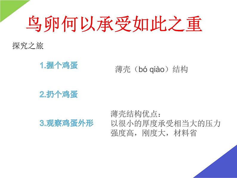 初中生物苏科版八年级上册 动物的生殖——鸟卵再探究部优课件第3页