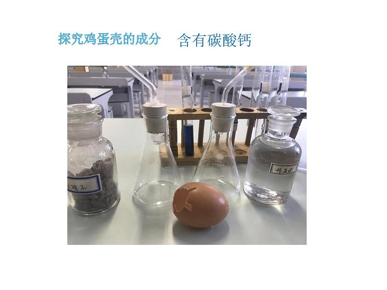 初中生物苏科版八年级上册 动物的生殖——鸟卵再探究部优课件第7页