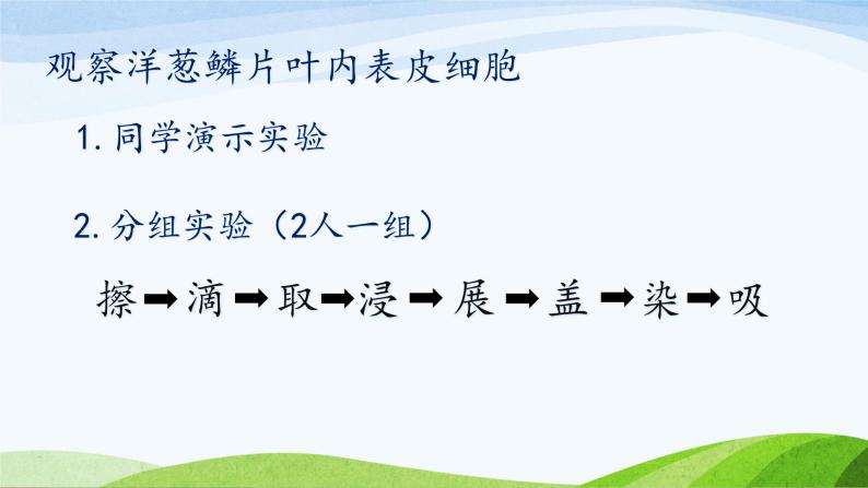 初中生物苏教版七年级上册 植物细胞的结构和功能部优课件05