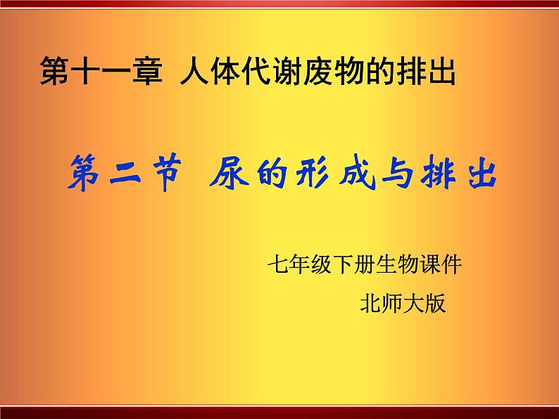 北师大版七下生物 11.2尿的形成与排出 课件01