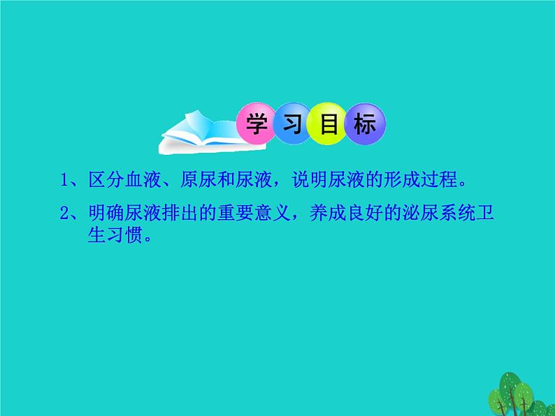 济南版七下生物 4.1尿液的形成和排出 课件第3页