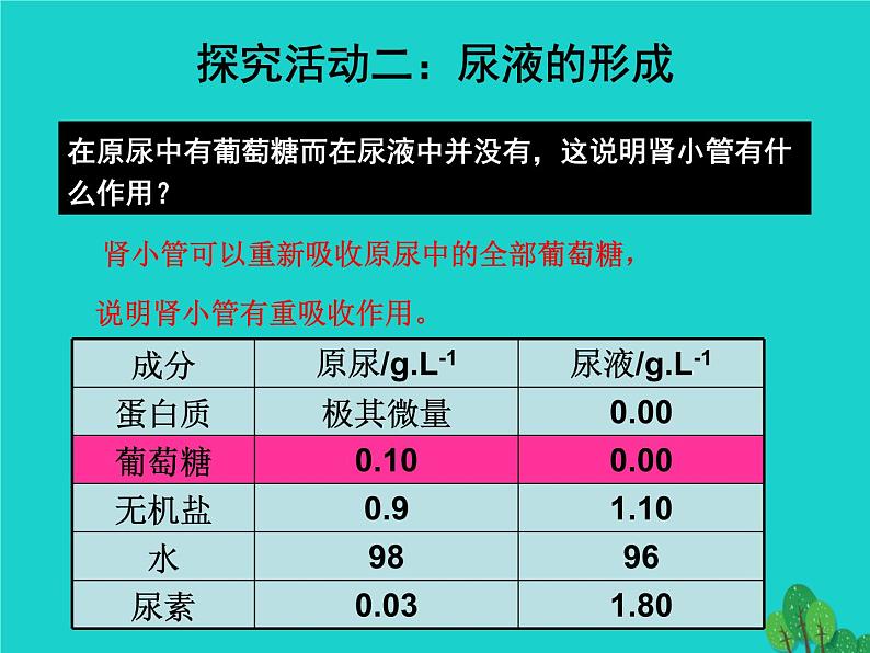 济南版七下生物 4.1尿液的形成和排出 课件第7页