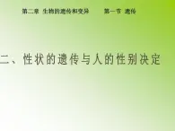 冀教版八下生物 6.2.1遗传 课件