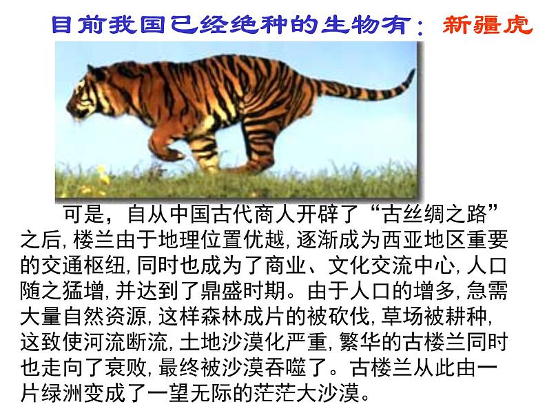 冀教版八下生物 7.3.3保护生物多样性 课件08