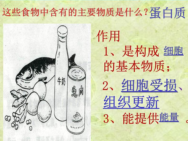 人教版七下生物 2.1食物中的营养物质 课件第6页