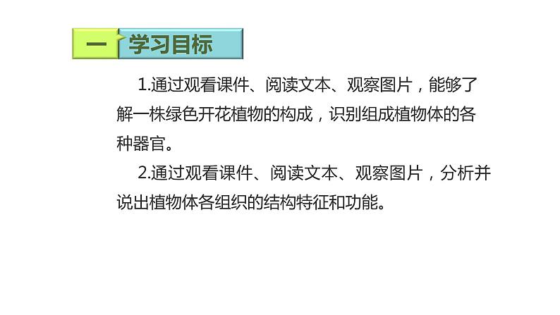苏科版七下生物 9.1 植物体的组成 课件第2页