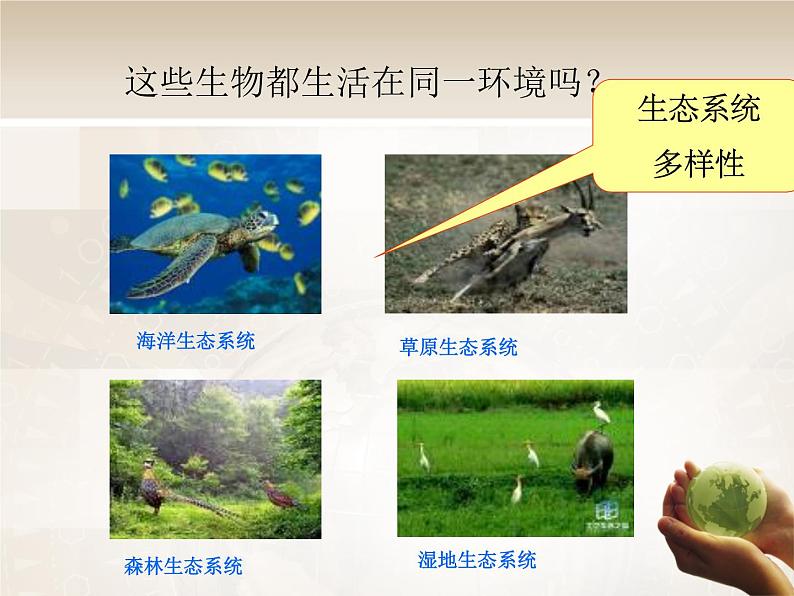 苏科版八下生物 26.2 保护生物多样性 课件第4页