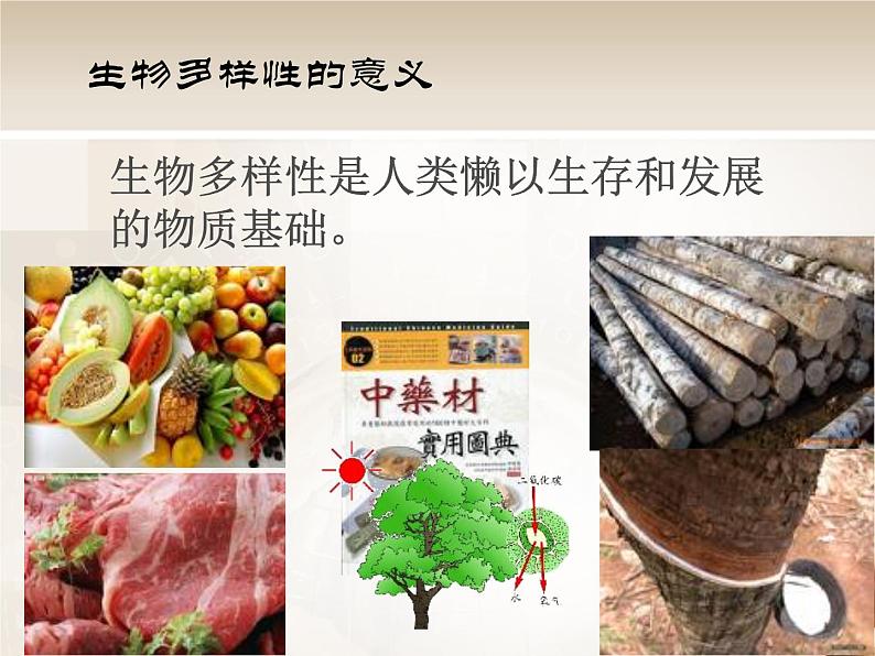 苏科版八下生物 26.2 保护生物多样性 课件第5页