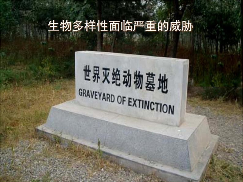 苏科版八下生物 26.2 保护生物多样性 课件第7页