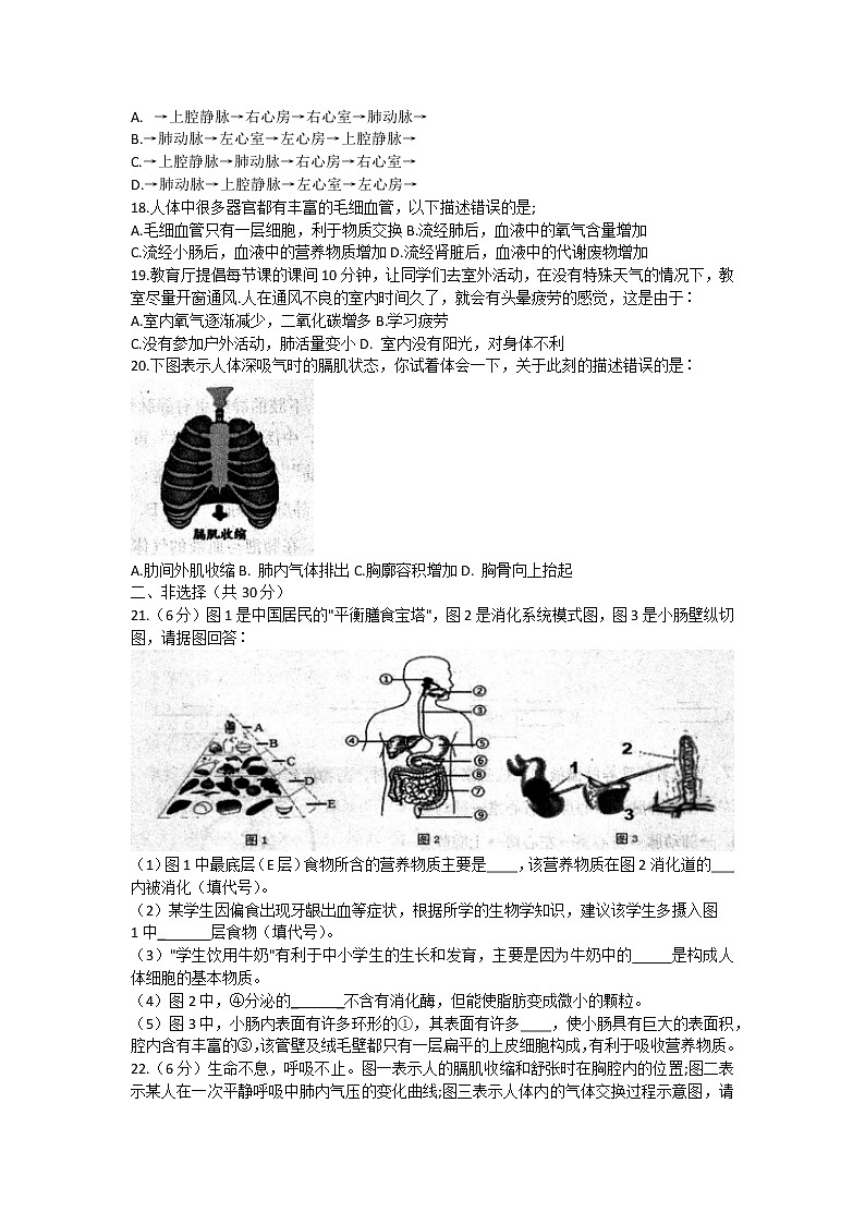 河南省南阳市社旗县2021-2022学年七年级下学期期中生物试题(word版含答案)第3页