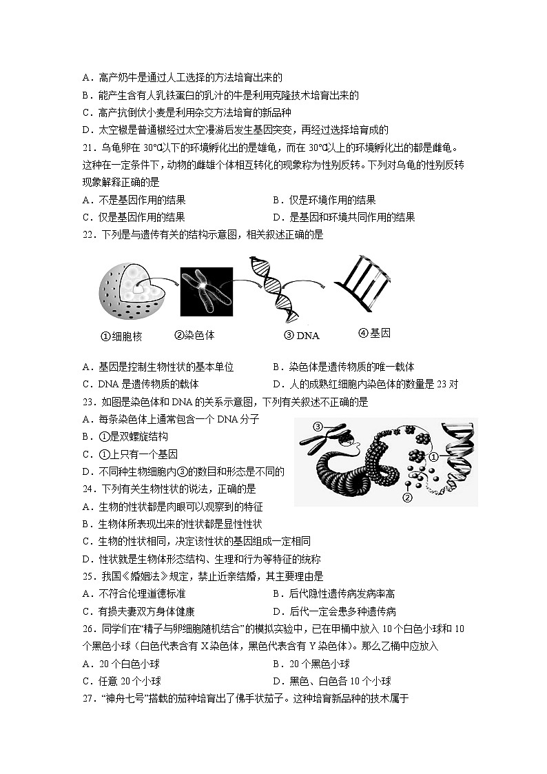 陕西省宝鸡市凤翔区2021-2022学年八年级下学期期中生物试题(word版含答案)第3页