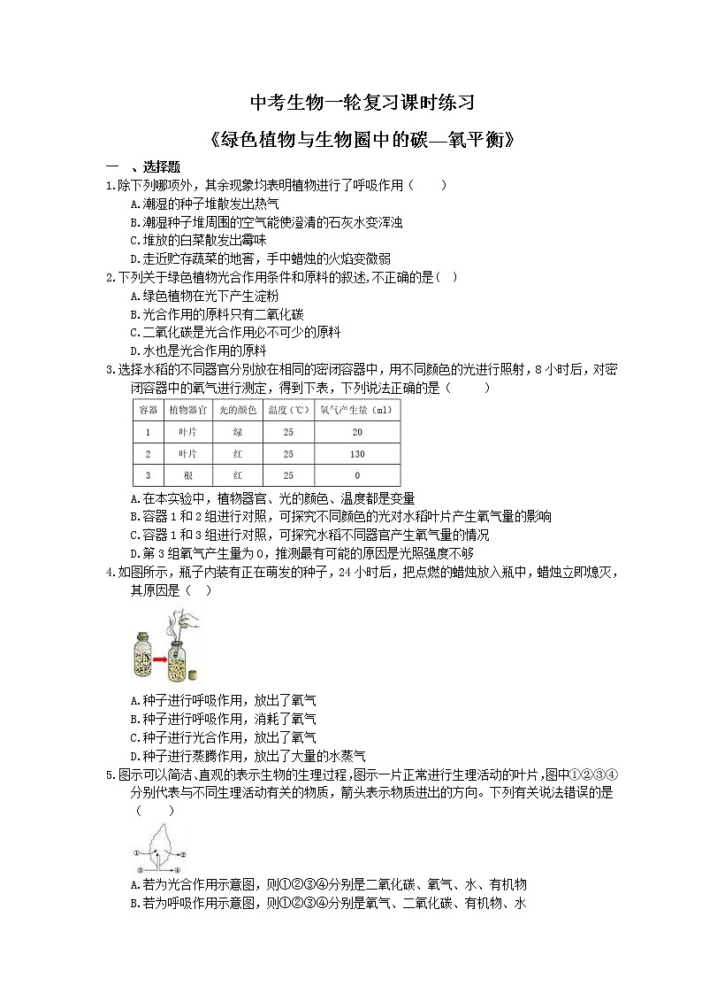 中考生物一轮复习课时练习《绿色植物与生物圈中的碳—氧平衡》(含答案)第1页