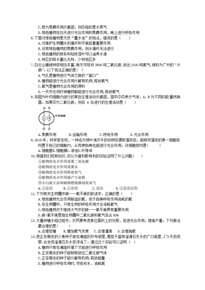 中考生物一轮复习课时练习《绿色植物与生物圈中的碳—氧平衡》(含答案)第2页