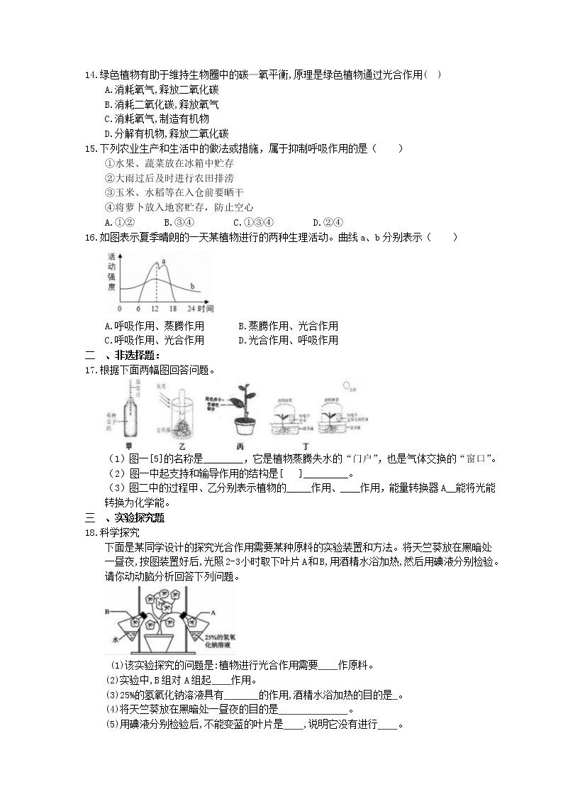 中考生物一轮复习课时练习《绿色植物与生物圈中的碳—氧平衡》（含答案）03