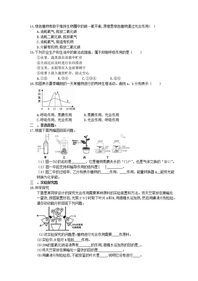 中考生物一轮复习课时练习《绿色植物与生物圈中的碳—氧平衡》(含答案)第3页