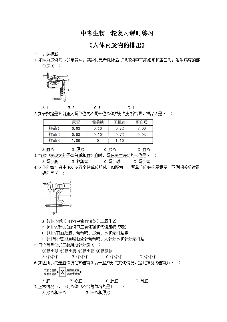 中考生物一轮复习课时练习《人体内废物的排出》(含答案)第1页