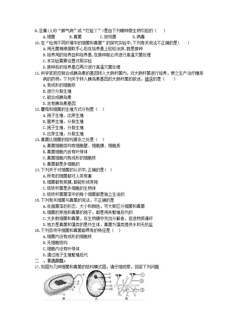 中考生物一輪復(fù)習(xí)課時(shí)練習(xí)《細(xì)菌和真菌》（含答案）第2頁