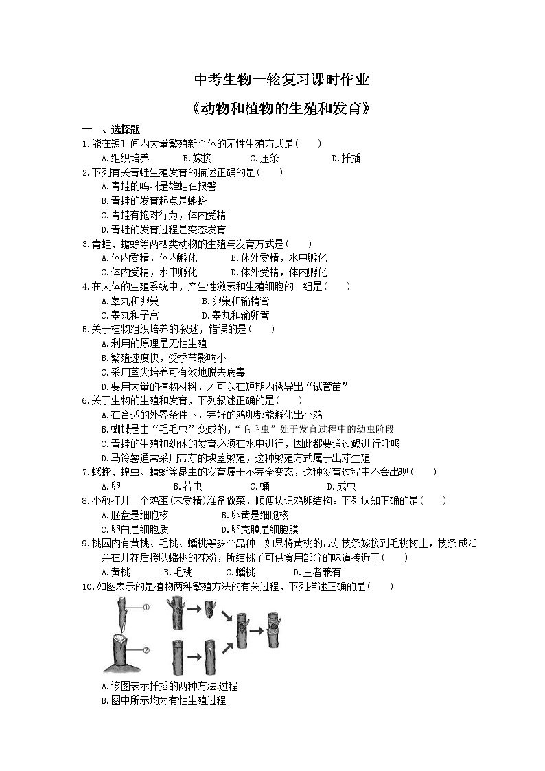 中考生物一轮复习课时作业《动物和植物的生殖和发育》(含答案)第1页