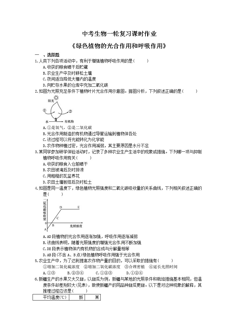 中考生物一轮复习课时作业《绿色植物的光合作用和呼吸作用 》(含答案)第1页