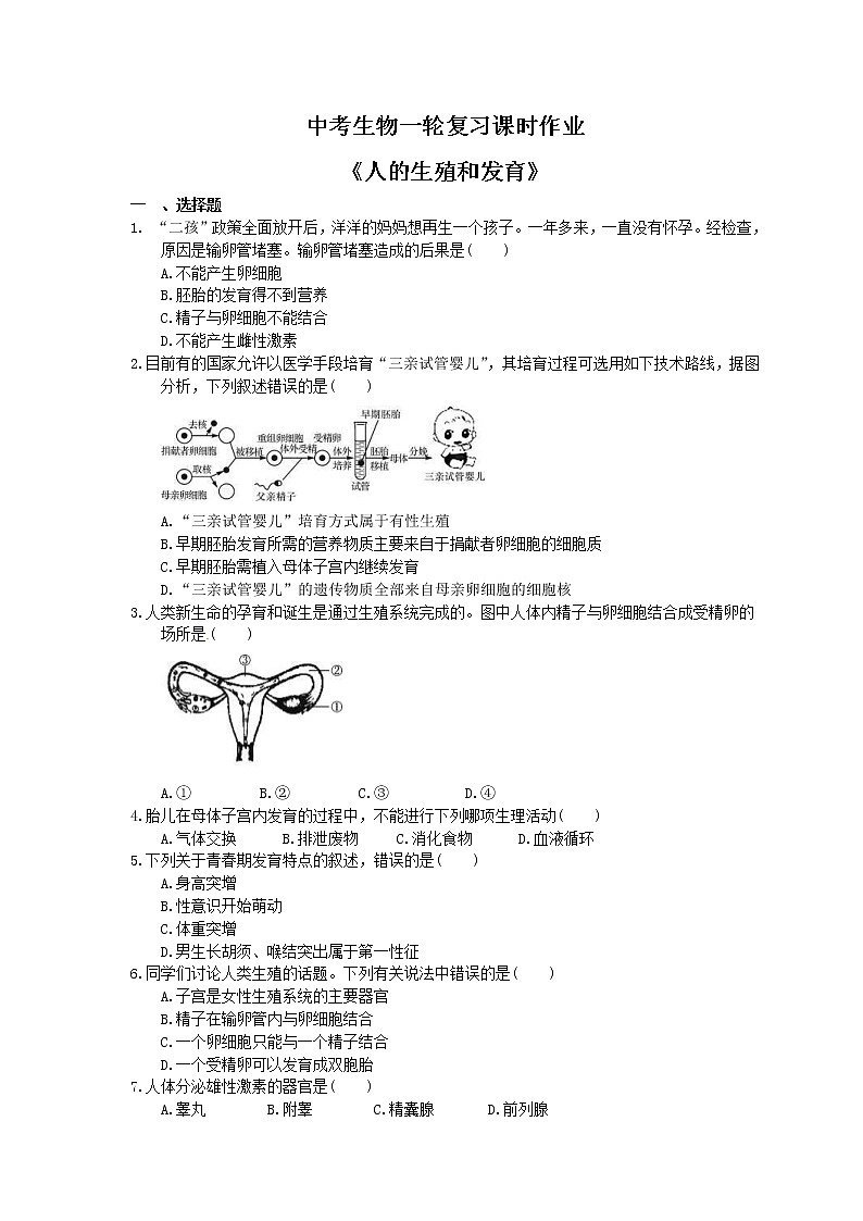 中考生物一轮复习课时作业《人的生殖和发育》(含答案)第1页