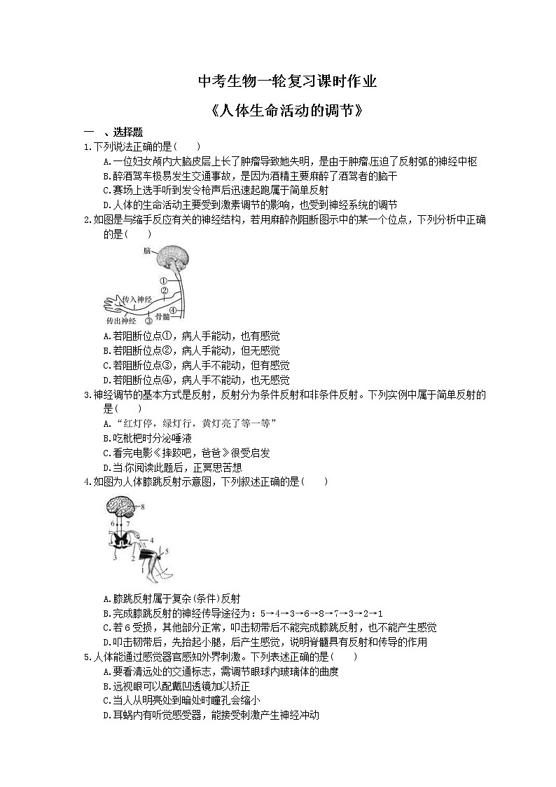 中考生物一轮复习课时作业《人体生命活动的调节》(含答案)第1页