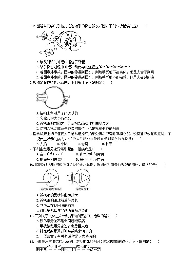 中考生物一轮复习课时作业《人体生命活动的调节》(含答案)第2页