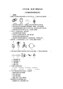 中考生物一轮复习课时作业《生物体的结构层次》（含答案）