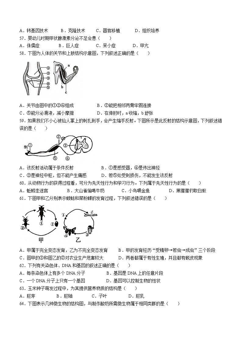 2022年江苏省泰州市海陵区中考一模生物试题(word版含答案)03