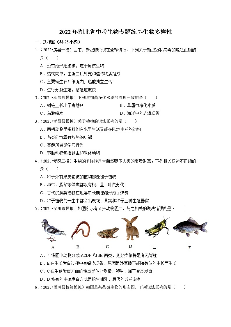 2022年湖北省中考生物二轮专题练7-生物多样性第1页