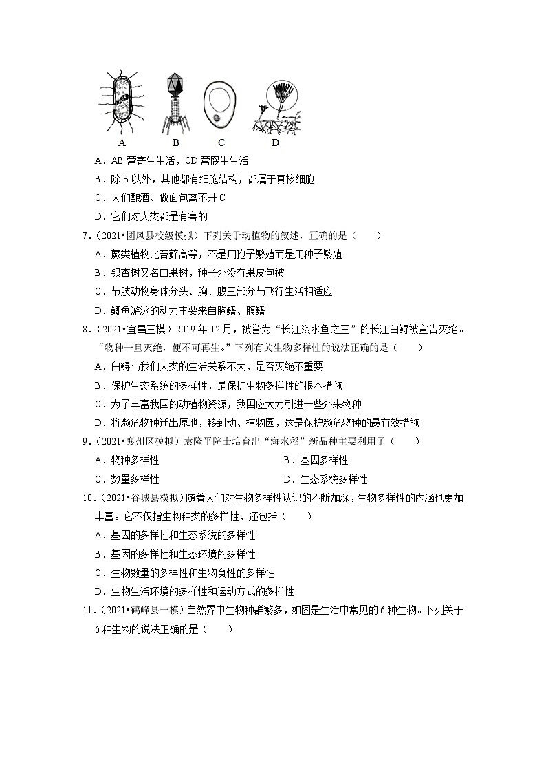 2022年湖北省中考生物二轮专题练7-生物多样性第2页