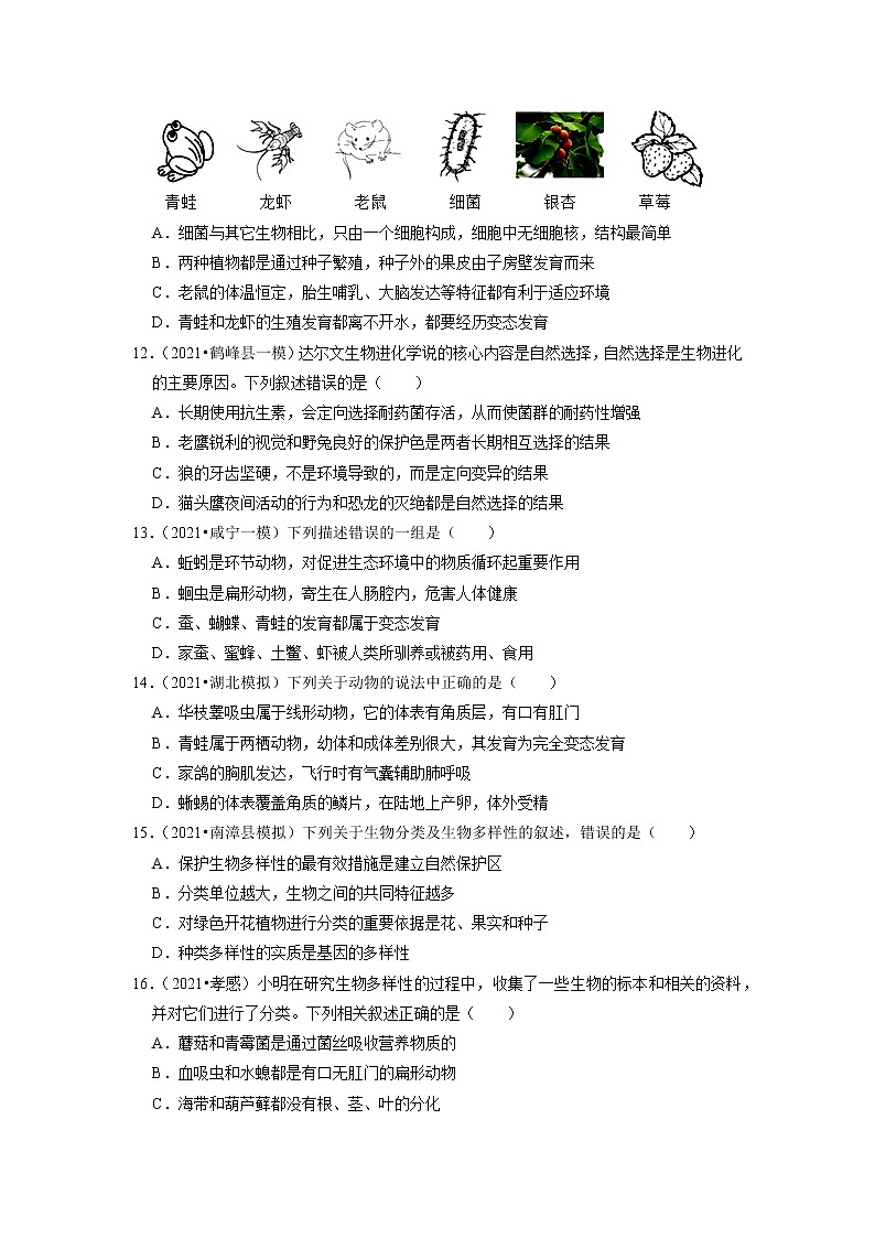 2022年湖北省中考生物二轮专题练7-生物多样性第3页