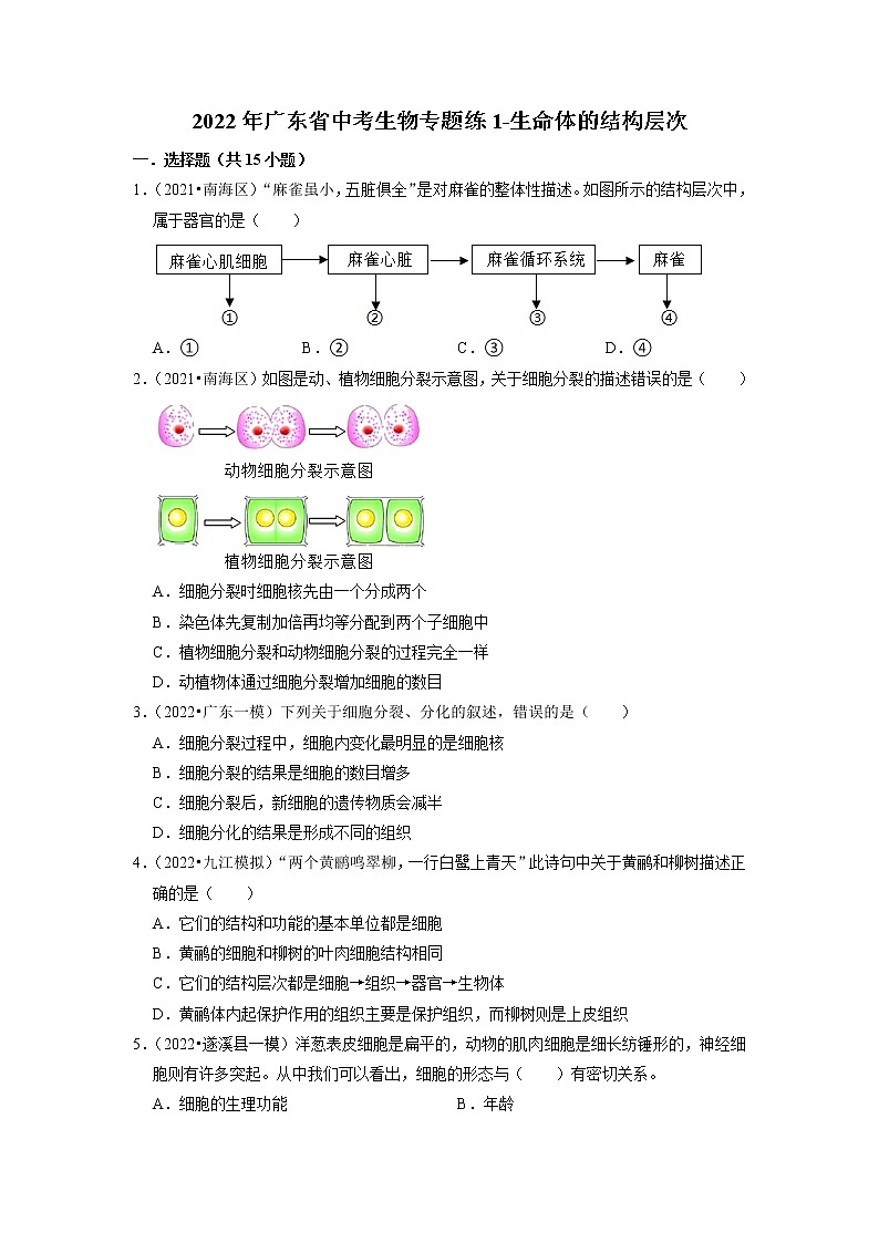 2022年广东省中考生物二轮专题练1-生命体的结构层次第1页