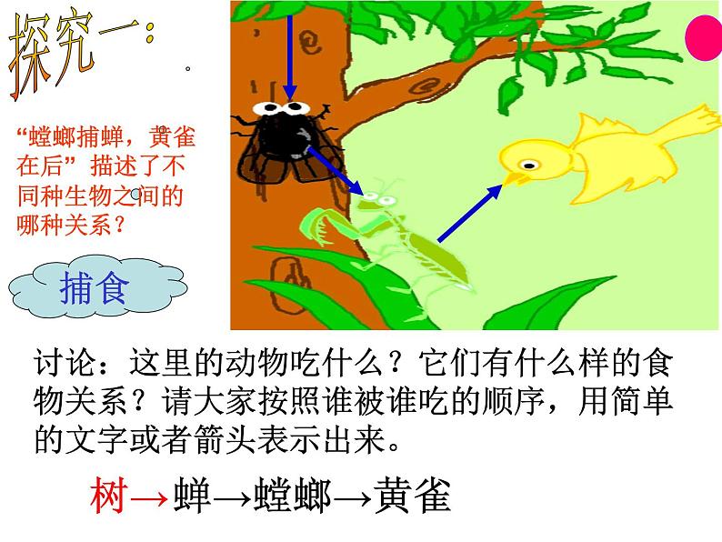 济南社八年级下册生物 6.2.2食物链和食物网 课件第5页