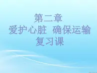 冀教版七年级下册生物 2.4心脏和血管的保护 课件