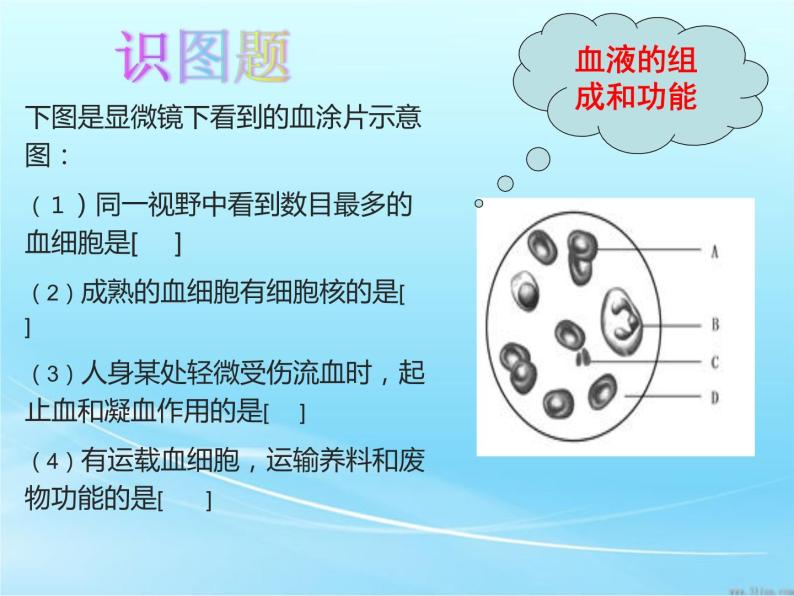 冀教版七年级下册生物 2.4心脏和血管的保护 课件07