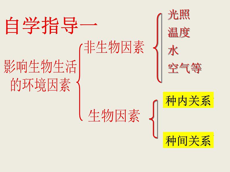 冀教版八年级下册生物 7.1.1环境对生物的影响 课件04