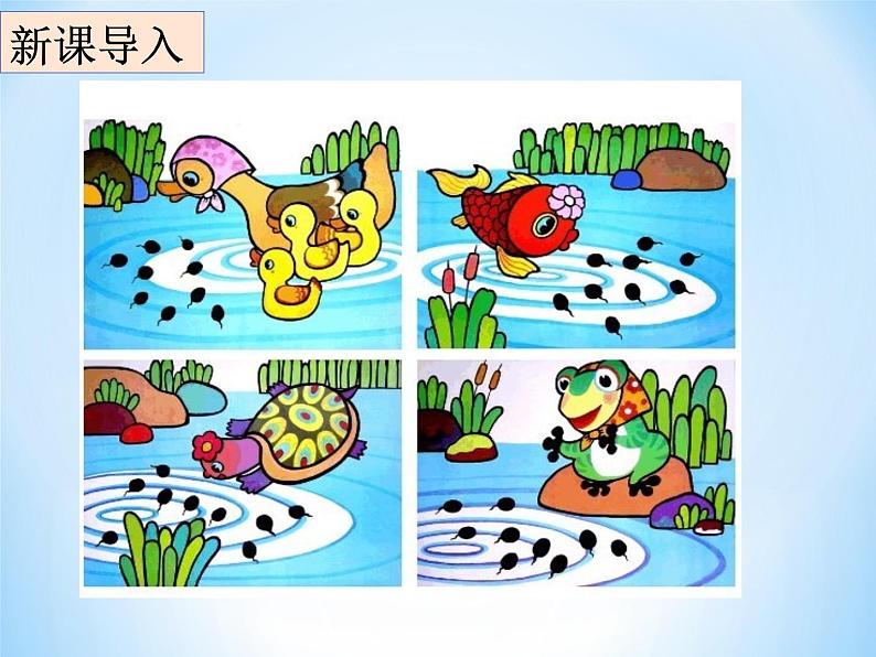 冀教版八年级下册生物 6.1.2动物的生殖和发育 课件第1页