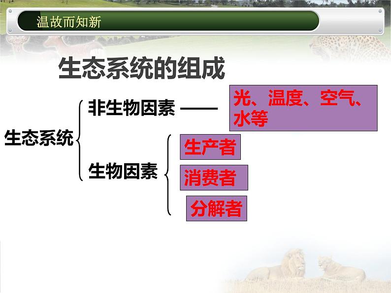 冀教版八年级下册生物 7.2.2食物链和食物网 课件01
