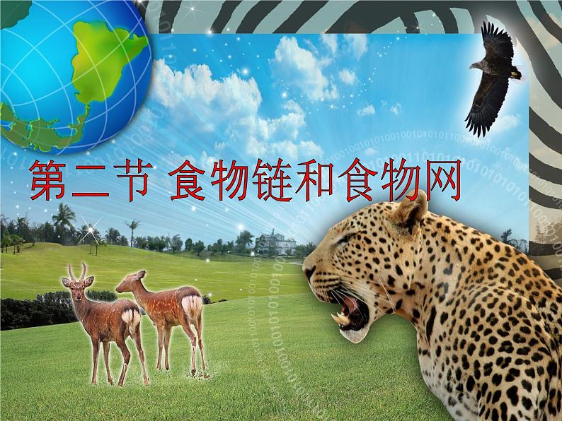 冀教版八年级下册生物 7.2.2食物链和食物网 课件03
